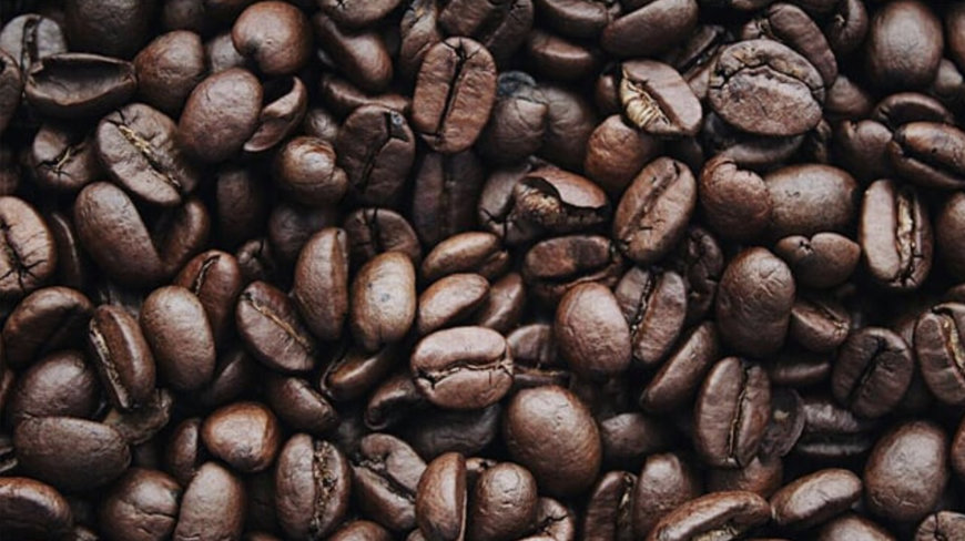 Spanish Coffee Producer Cuts Water Use with Alfa Laval's Optiwia™ Technology